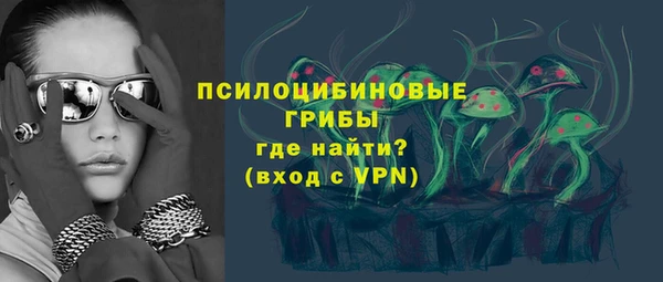 трава Верхнеуральск