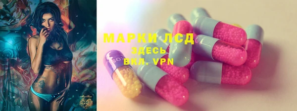 хмурый Верея