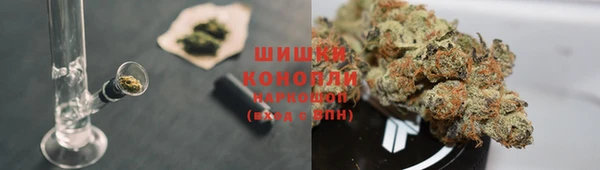 хмурый Верея