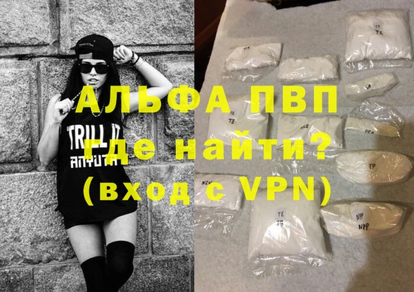 хмурый Верея