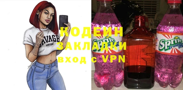 хмурый Верея